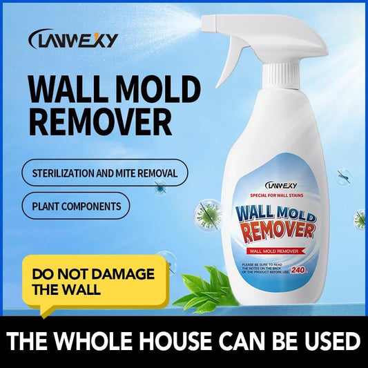 🔥Time-Limited Promotion🔥Highly Effective Mould Removal Spray