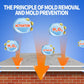 🔥Time-Limited Promotion🔥Highly Effective Mould Removal Spray