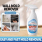 🔥Time-Limited Promotion🔥Highly Effective Mould Removal Spray